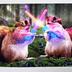 Greeting Card: May the fun be with you!