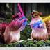 Greeting Card: May the fun be with you!