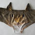 Clothing: Squirrel Underpants
