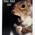 Greeting Card: OMG! You did it!