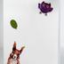 Greeting Card: Hope you are squirreling away…