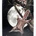 Greeting Card: Flying squirrels