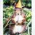 Greeting Card: It’s your birthday…