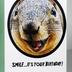 Greeting Card: Smile…