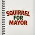 Campaign merch: Squirrel for Mayor