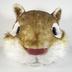 Clothing: Squirrel mask